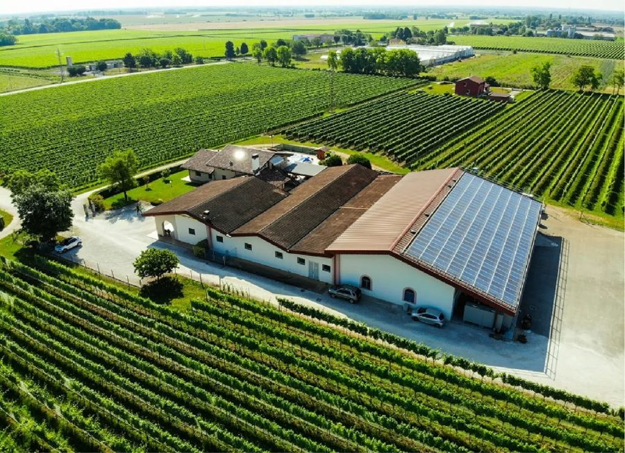 Vista aerea della cantina e del vigneto, San Quirino