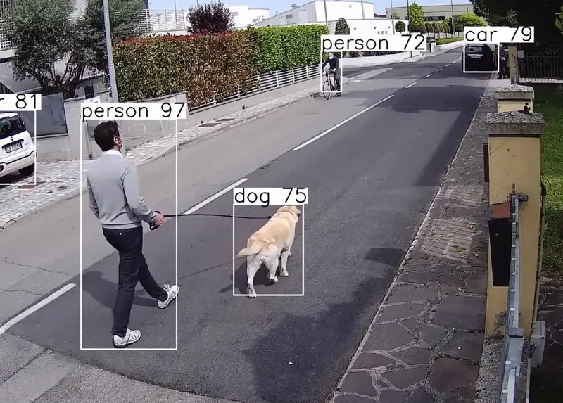Video analysis on a street camera: a person, a dog and a car, each marked with a labelled box